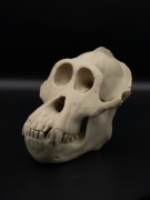 Czaszka ozdobna goryla druk 3D