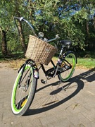 Rower damski ELECTRA 