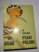 Jan Sokołowski Ptaki Polskie Atlas Książka 