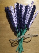 Bukiet wiosennych lawend 20 szt