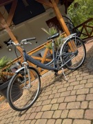 Rower Wygodna i Lekka Damka TIGRA – 28 cali, Aluminiowa, Shimano Nexus 7!