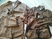 Ciuchy robocze/kurierskie UPS zestaw