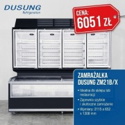 Zamrażarka Dusung ZM21B/X