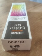 Prosalon farba 6/4 B