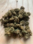 susz konopny CBD / Kwiaty CBD Premium – Ciepła Borówkowa Drożdżówka