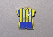 ARKA GDYNIA koszulka w pasy