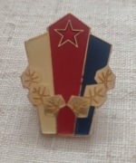 Czechosłowacja  Armia CSRS Układ Warszawski wzorowy 