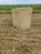 Bale Słomy 