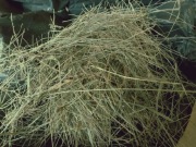 Karma,siano dla zwierząt domowych. EKOLOGICZNE 1KG