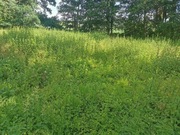 Przyjmę ziemię, Nysa, na wyrównanie 