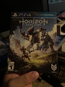 Horizon zero down
