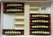 Zęby akrylowe Classic Plus kolor R5 56 szt.