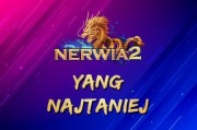 Nerwia 2 GŁÓWNY NERWIA2 NERWIA S2 100W 100KKK YANG