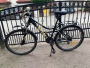 Rower Saveno Carrera