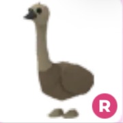 Emu R - Adopt Me Roblox