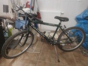 Rower MTB Coguar 14"