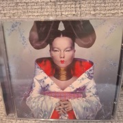 Bjork - Homogenic CD