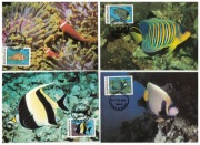 04-MC23-Malediwy,WWF,1986,Ryby oceaniczne