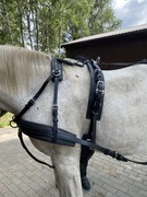 Uprząż na singla biothane syntetyczna 