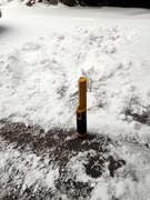 Wykrywacz metalu-Wynajem-Znajdz Obrączkę