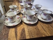 6 filiżanek Chodzież 