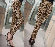 Legginsy motyw zwierzęcy r.44