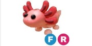 Axolotl FR || Adopt me || Roblox