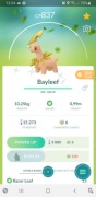 Shiny Bayleef