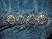 Komplet talerzyków deserowych kryształowych 4szt