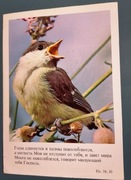 Rycina ptaka z okresu PRL