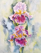 Akwarela 30x40 - "W porannym slońcu"