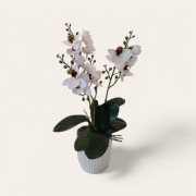 Sztuczny storczyk, dekoracja, prezent