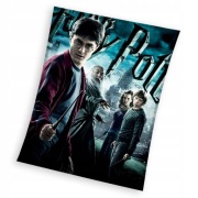 KOC DZIECIĘCY HARRY POTTER 130X170 SUPER HIT