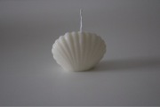 Muszelka świeczka