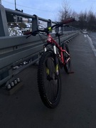 Rower Dartmoor Street Fighter