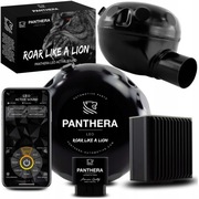 Aktywny wydech Panthera PTR-LEO-Y24 V8