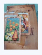 Tarot archetypowy plus karty nowy Manuela Klara Olszewska 