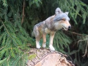 Wilk realistyczna filcowana figurka