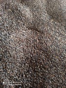 GRYKA Nasiona 25kg poplon siew kora eko 