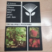 Truskawki i poziomki Wiesław. Kulesza