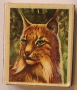 RYŚ - PEŁNE PUDEŁKO ZAPAŁEK - NIE UŻYWANE, ROSJA