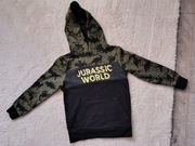 Bluza chłopięca Jurassic World z dinozaurami 128