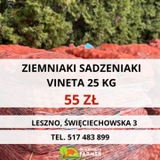 ziemniaki sadzeniaki vineta 25kg klasa A odbiór własny Leszno wielkopolska