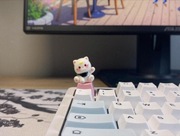 Customowa klawiatura, Custom keyboard, Klawiatura mechaniczna