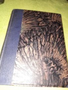 "Maks Kron kręci film"  Paul Morand