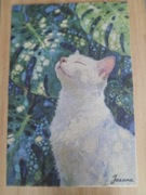 Samoprzylepna mata dla kota do drapania ozdoba, ochrona i zabawa