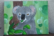 "Miś koala" Obraz