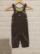 Spodenki spodnie sztruksowe Coccodrillo roz. 80