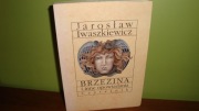 Brzezina i inne opowiadania Jarosław Iwaszkiewicz