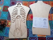 O rany organy! ciało człowieka puzzle drewniane Montessori 77x49cm